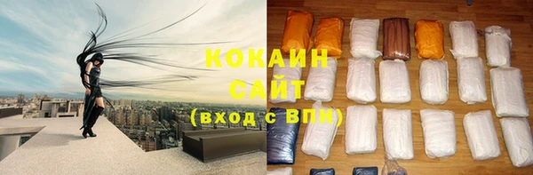 шишки Корсаков