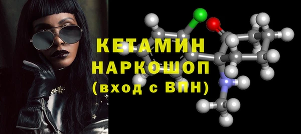 шишки Корсаков