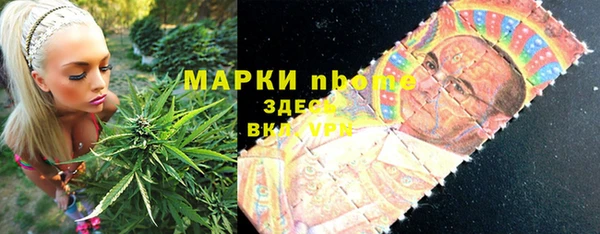 шишки Корсаков