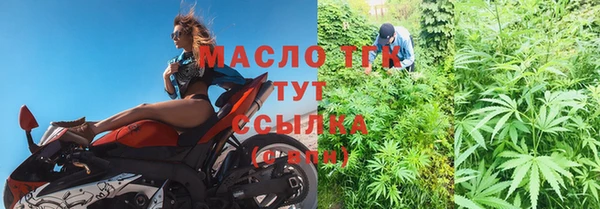 шишки Корсаков