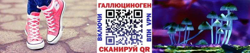 Галлюциногенные грибы Cubensis  дарк нет как зайти  Лакинск 